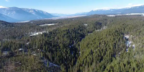 Image 2: DJI_0440