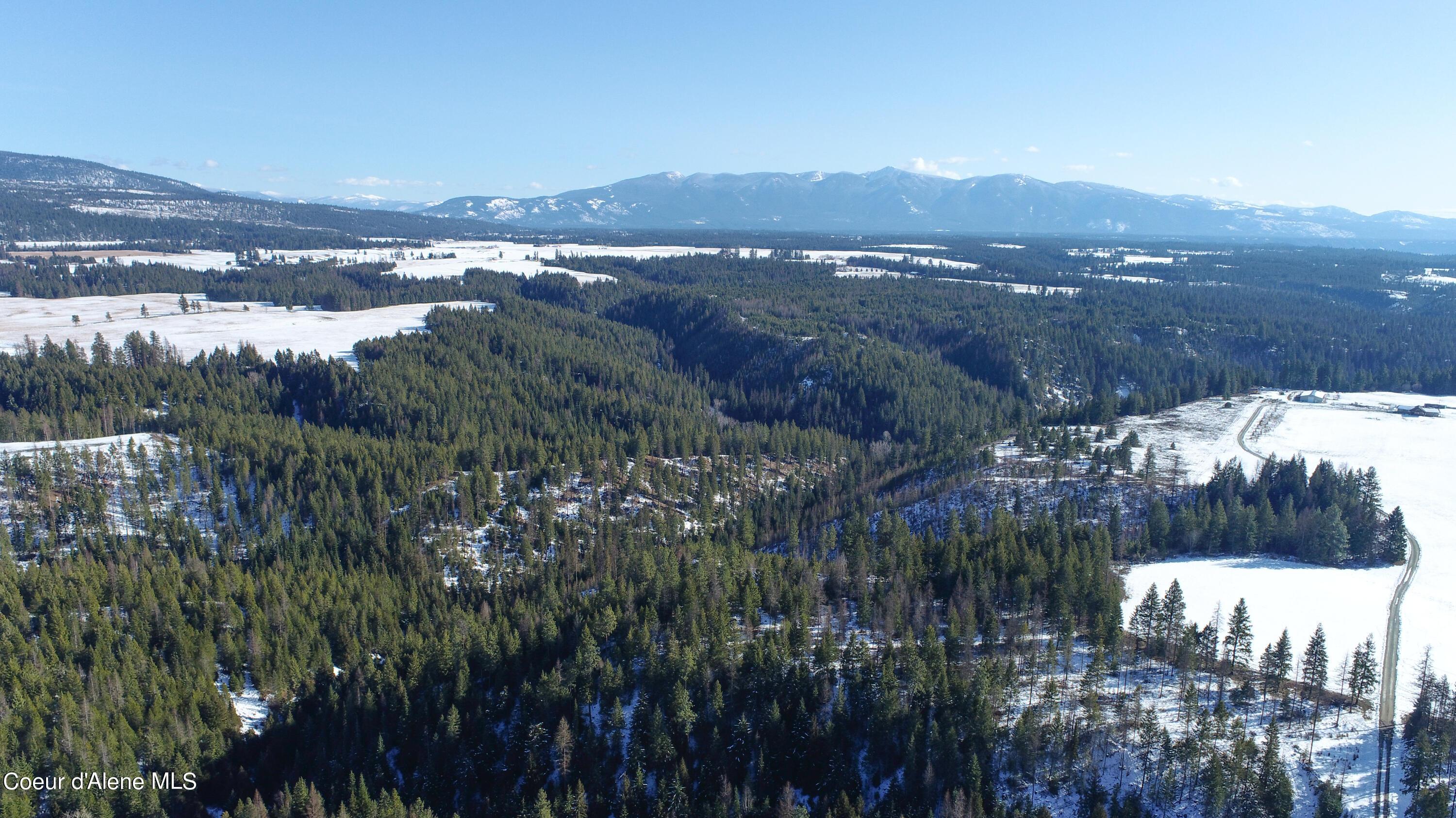Image 3: DJI_0445