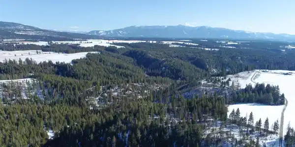 Image 3: DJI_0445