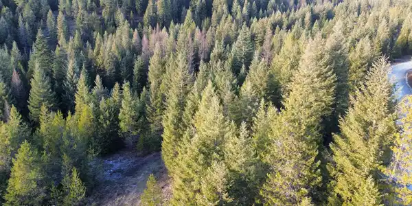 Image 2: dji_fly_20251231_143202_39_1767220433871