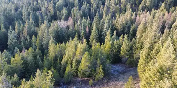 Image 3: dji_fly_20251231_143208_40_1767220414106