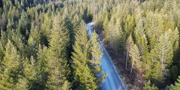 Image 4: dji_fly_20251231_143212_41_1767220451976