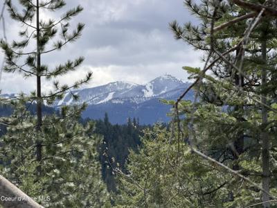 NNA CDA River Drive/McPhee Gulch 9.84 Acres