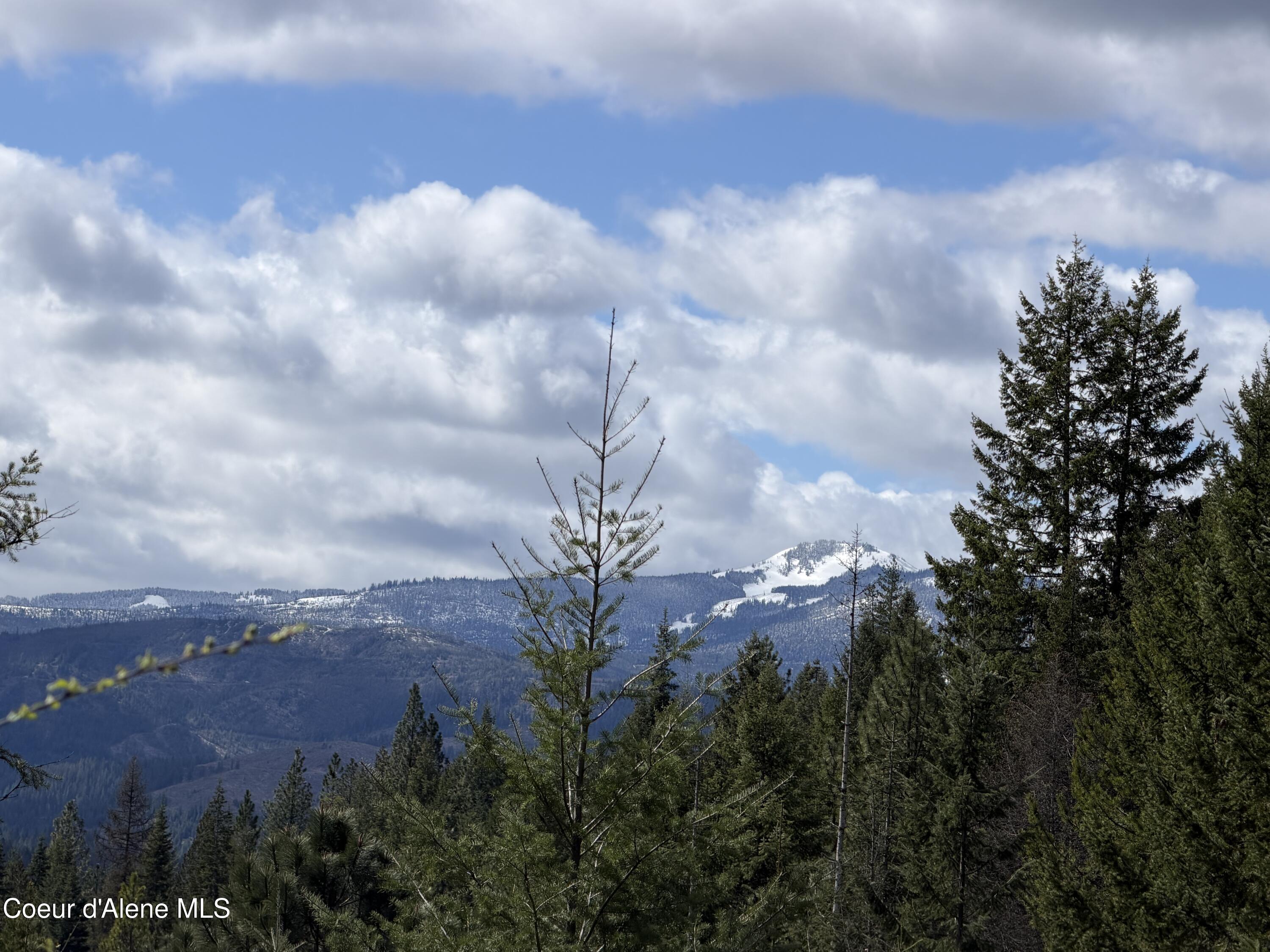 Image 3: IMG_0183