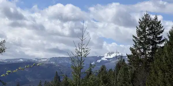 Image 3: IMG_0183