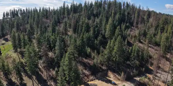 NNA ROOSTER RD