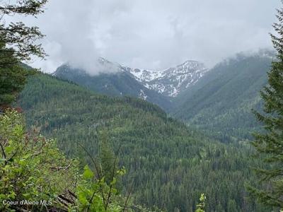 0 Surface Only CAT HOP MS2457 25