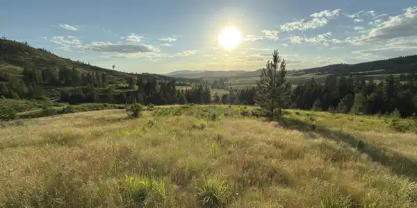 NNA Windfall Pass Rd.