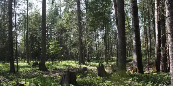 Lot 4 Riverlake Drive