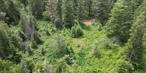 Image 2: Ridge