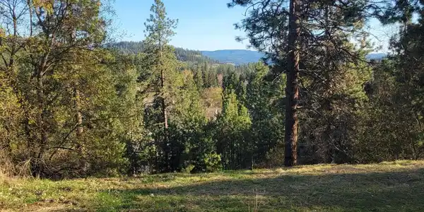 Image 3: 02
