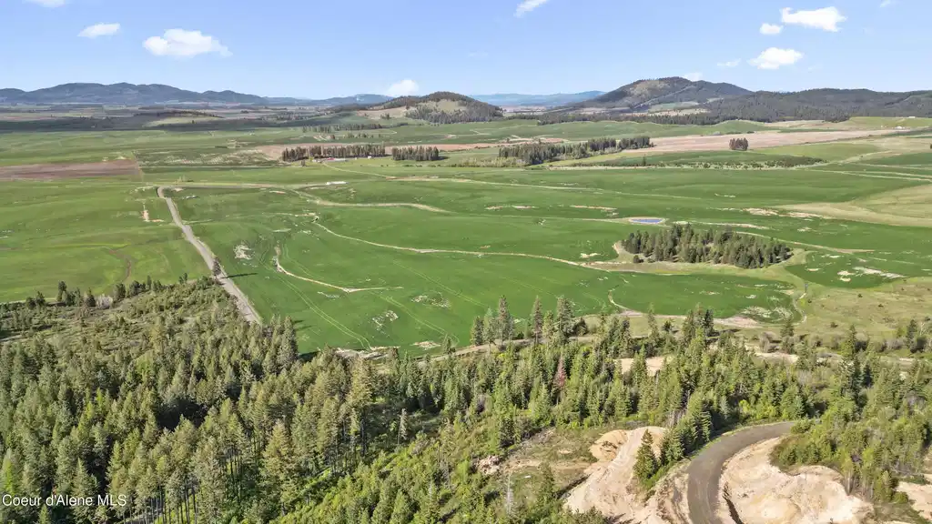 Image 1: Lot 1