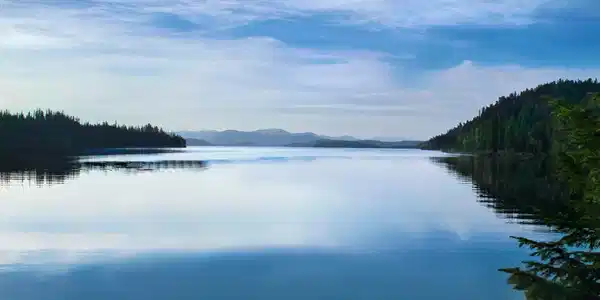 Image 4: 2