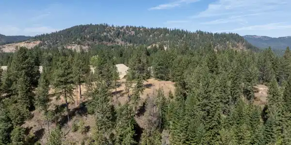Image 3: DJI_0532 copy