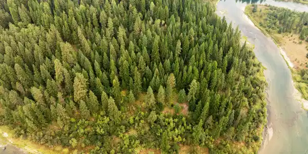 7.47 Acres Priest River