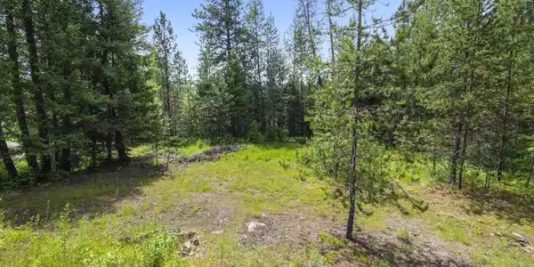 Image 3: P1064517