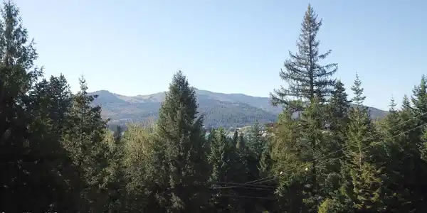 Image 2: V16
