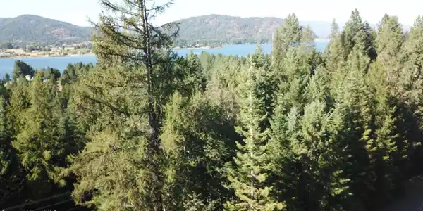 Image 3: V13