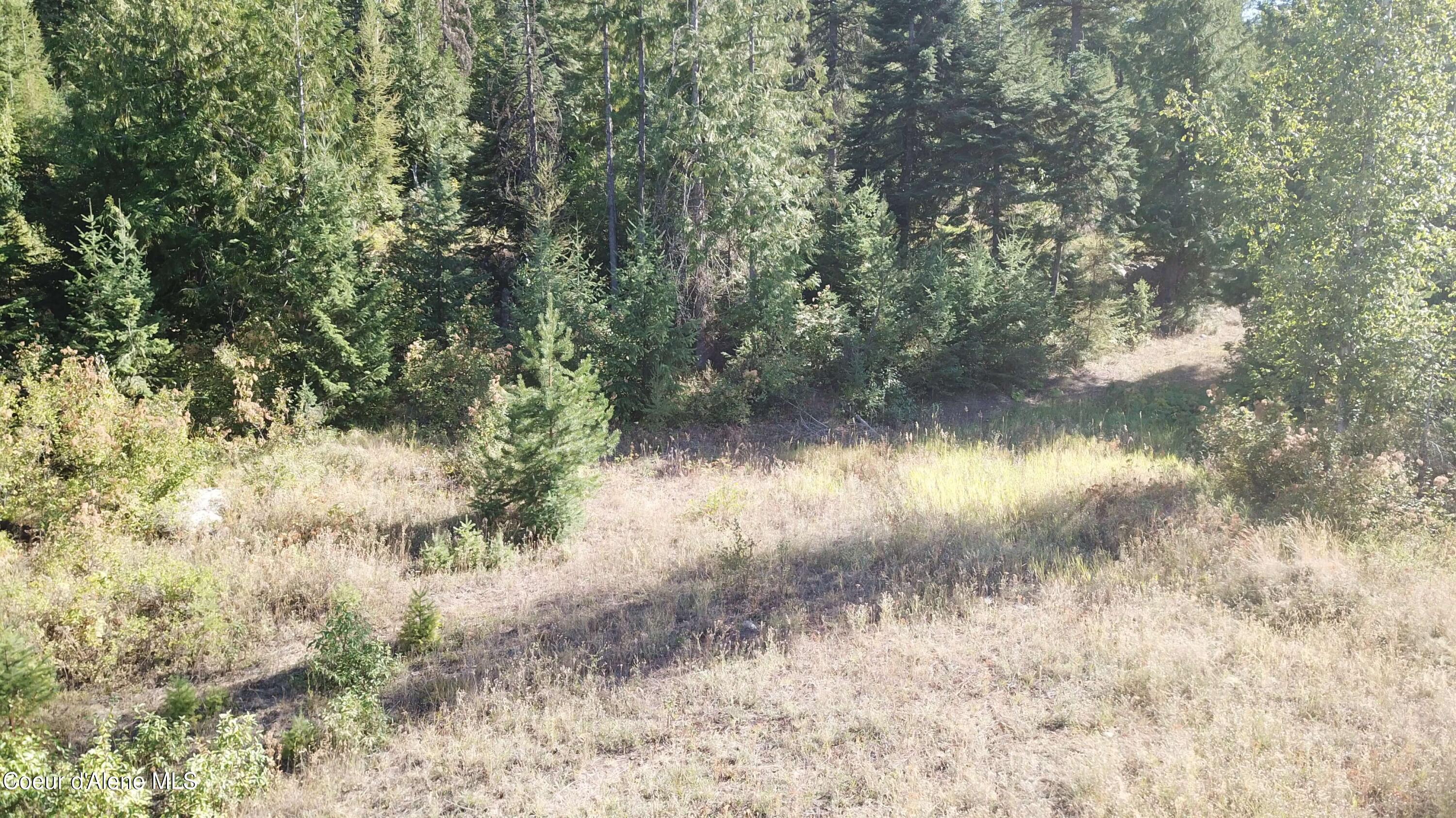 Image 4: V22