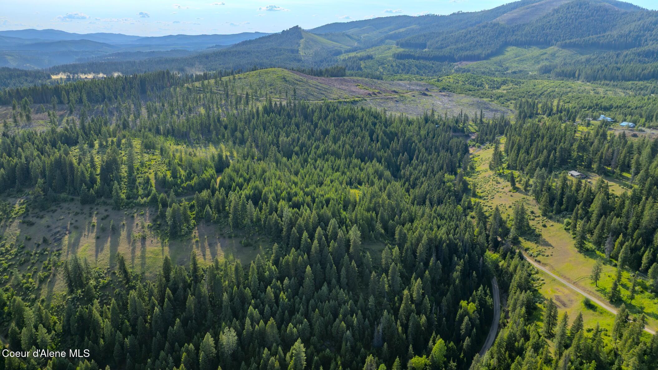 Image 3: Flat Creek (Compressed)