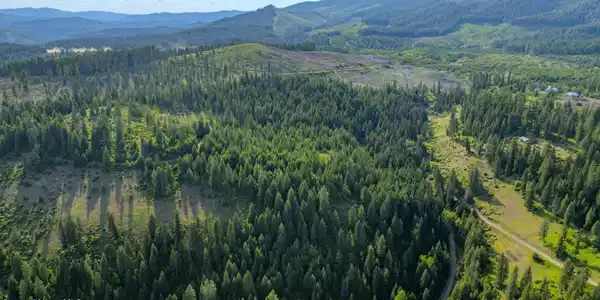 Image 3: Flat Creek (Compressed)