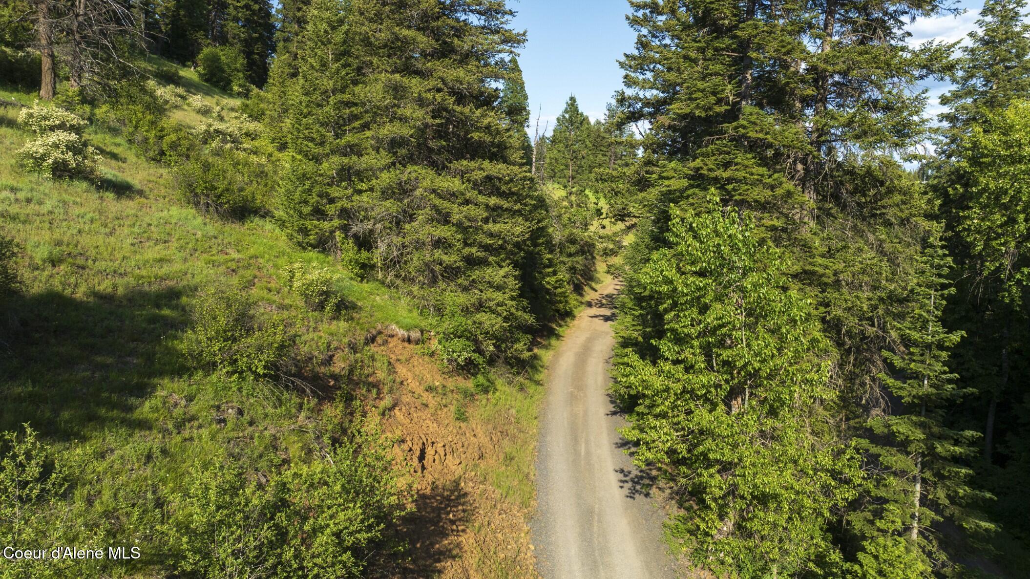 Image 4: Flat Creek_8 (Compressed)