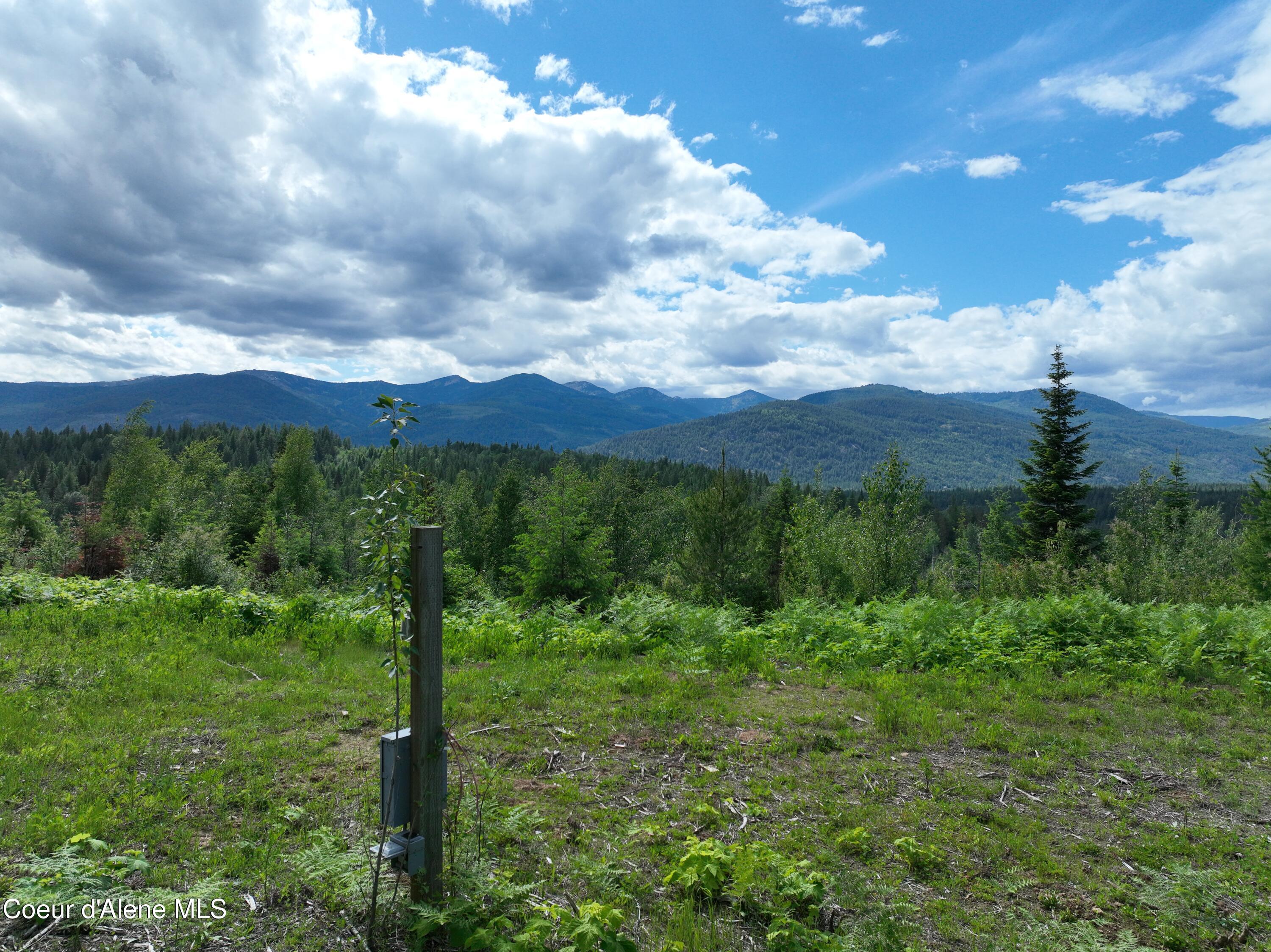 Image 2: DJI_0181