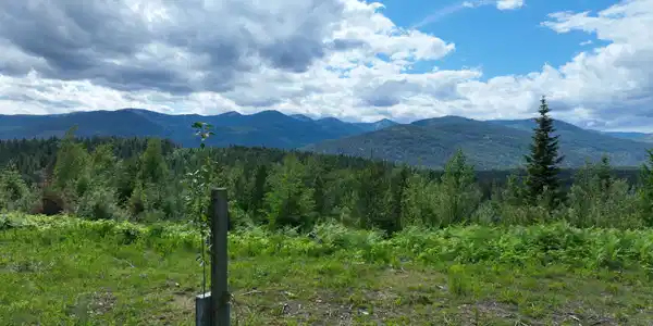 Image 2: DJI_0181
