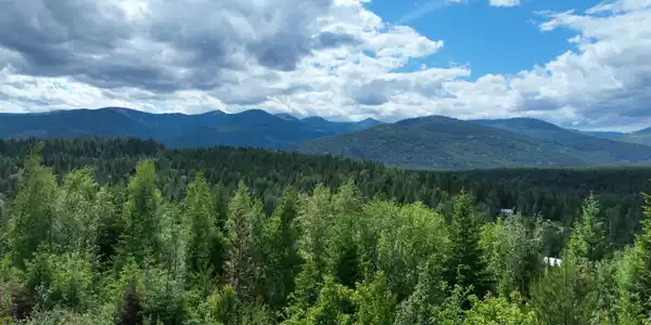 Image 4: DJI_0183
