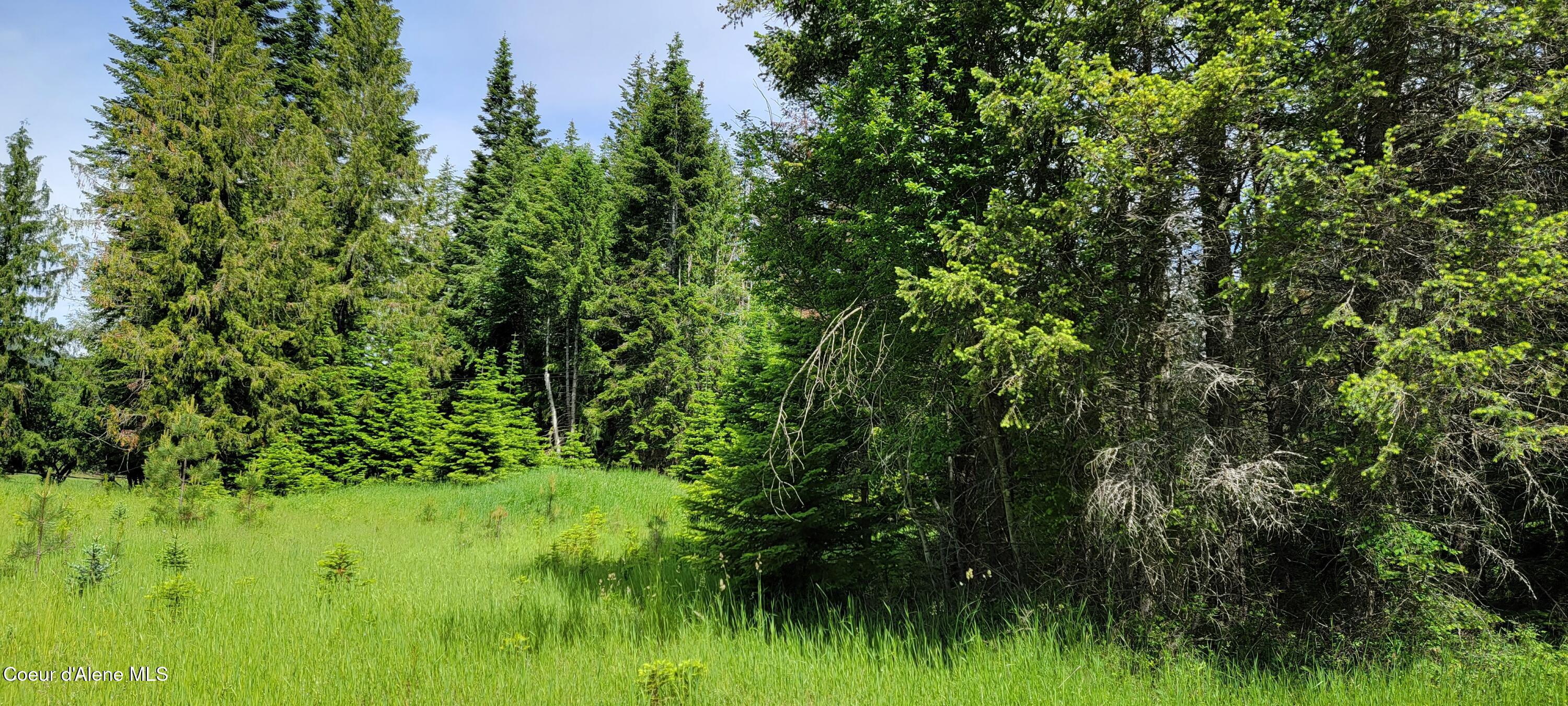 Image 4: 20220616_115406