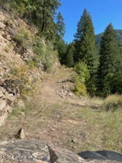 Image 4: IMG_0929