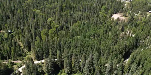 Image 3: 22-print-DJI_0939