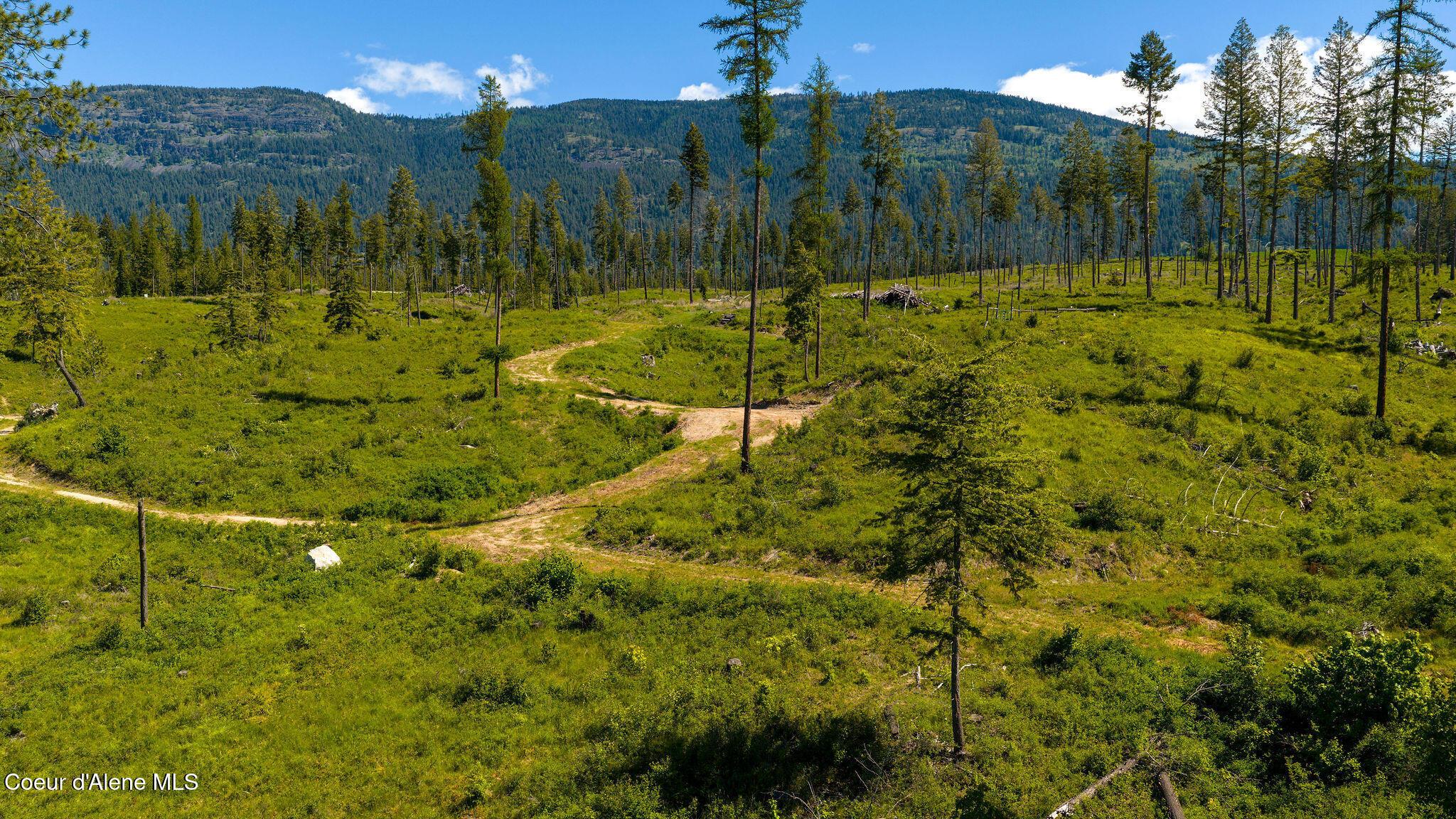 Image 2: Winding Trails Throughout