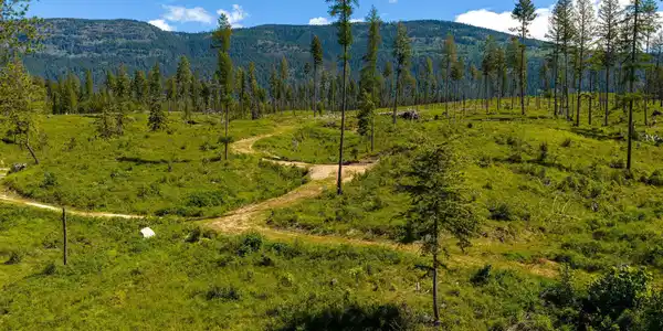 Image 2: Winding Trails Throughout