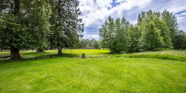 Image 2: Gorgeous 2.5 Acres - Private!