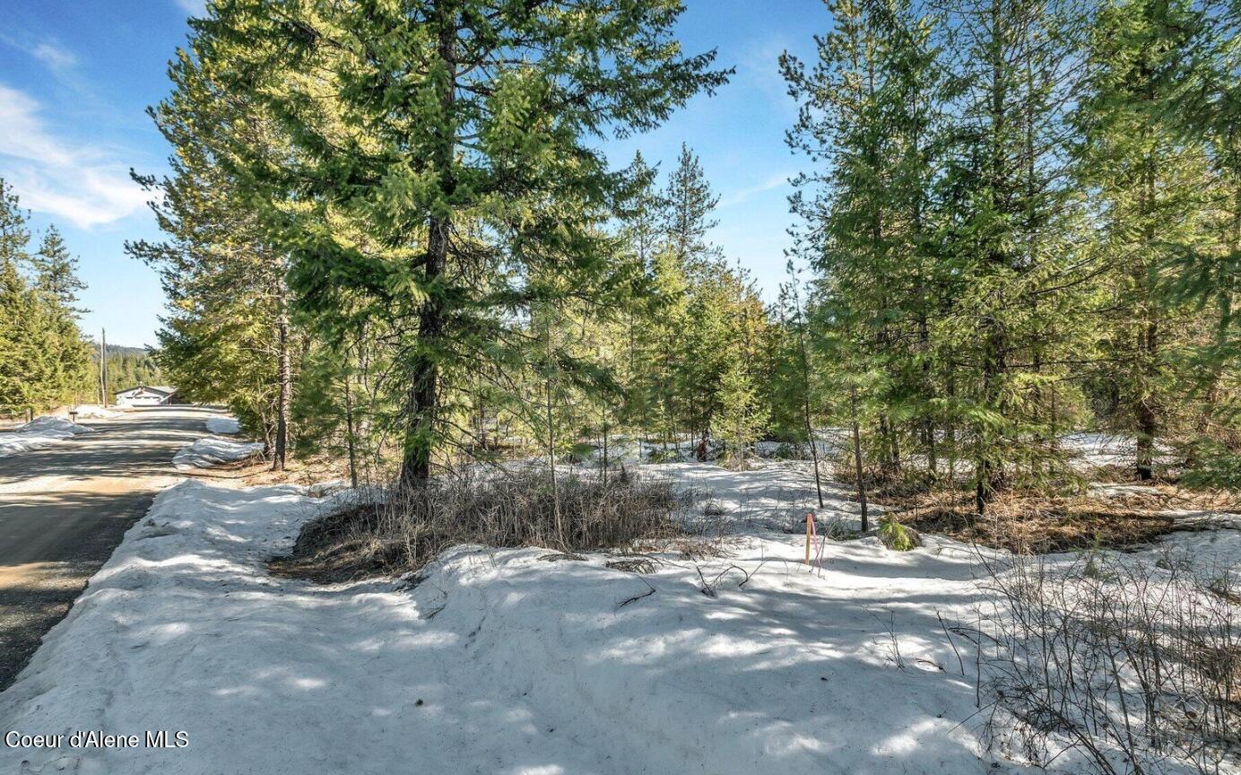 Image 2: 2_NKA Lot 1 Everett Huff Rd (OSMUN)