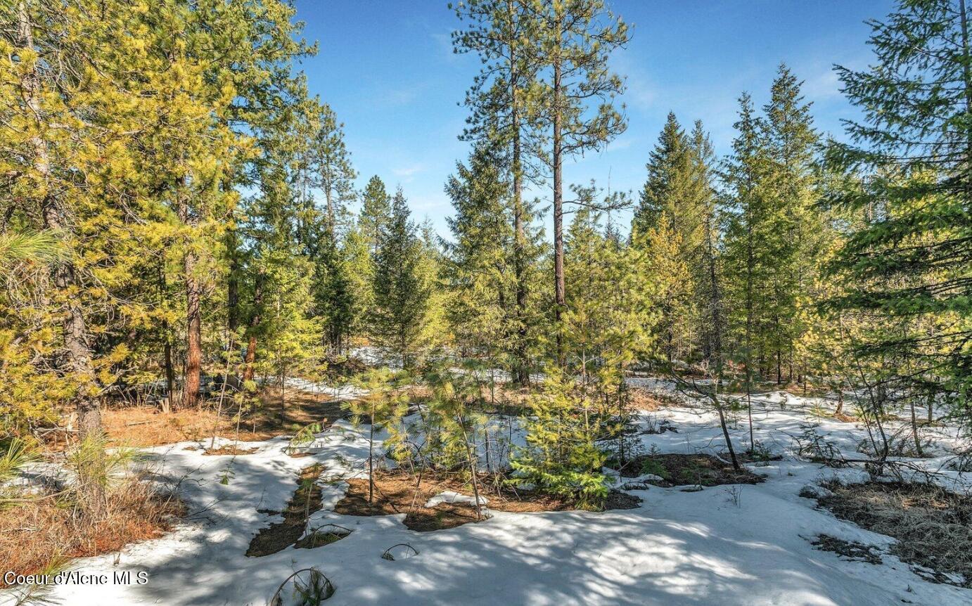 Image 3: 3_NKA Lot 1 Everett Huff Rd (OSMUN)
