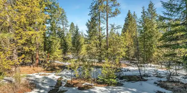 Image 3: 3_NKA Lot 1 Everett Huff Rd (OSMUN)