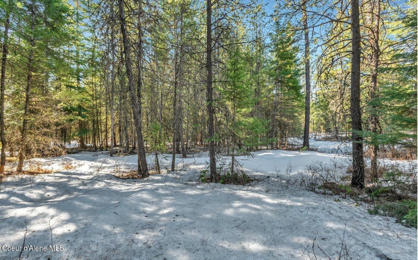 Image 4: 4_NKA Lot 1 Everett Huff Rd (OSMUN)