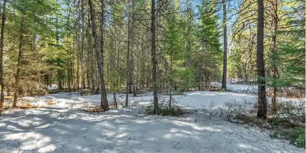 Image 4: 4_NKA Lot 1 Everett Huff Rd (OSMUN)