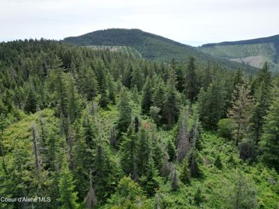 NKA INITIAL PEAK RD