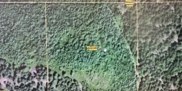 Image 3: Plat Map of 10 Acres