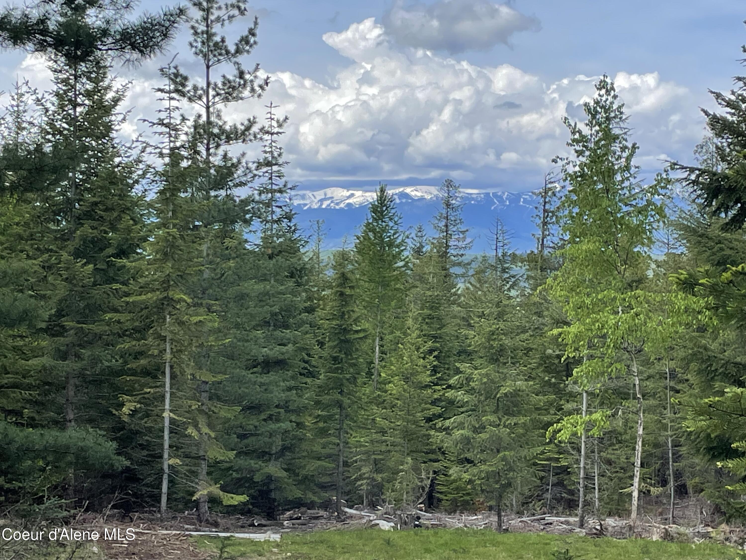 Image 1: Schwitzer Views