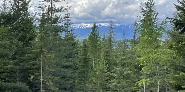 900 Rising Hawk Ridge