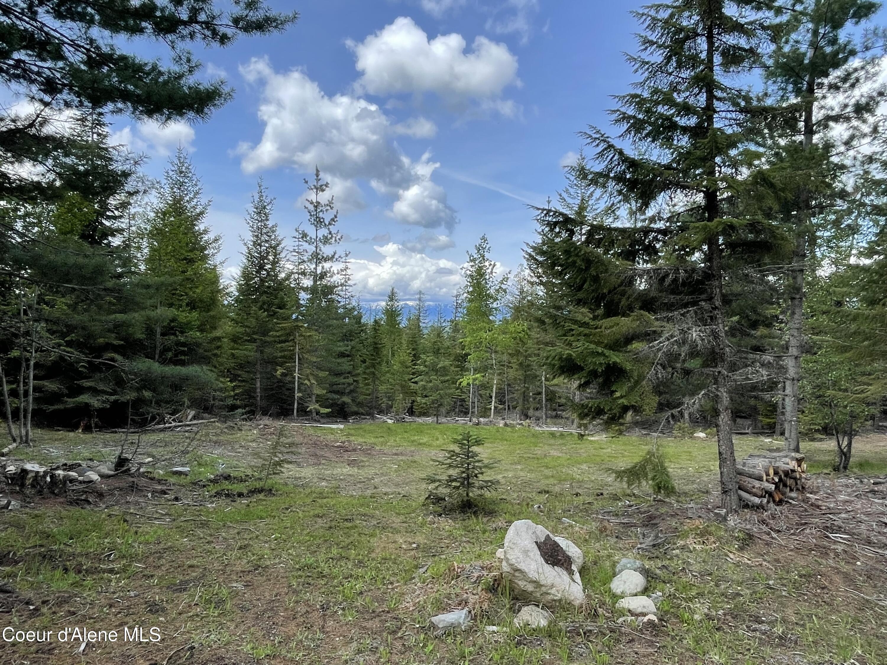 Image 3: Cleared Site