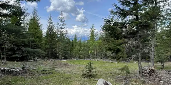 Image 3: Cleared Site