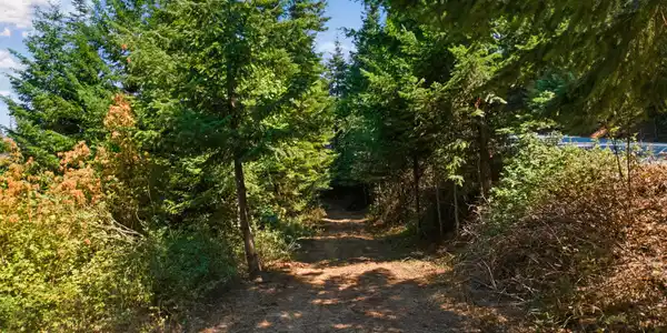 Image 4: 018-NKASpurRoad9338SouthCaribouRidgeRoad