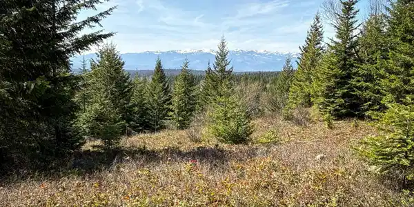 NKA Raven Ridge