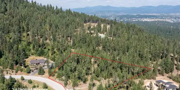 Image 3: Drone 4