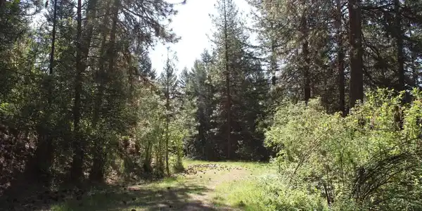 Image 3: Allen Private Driveway Interior